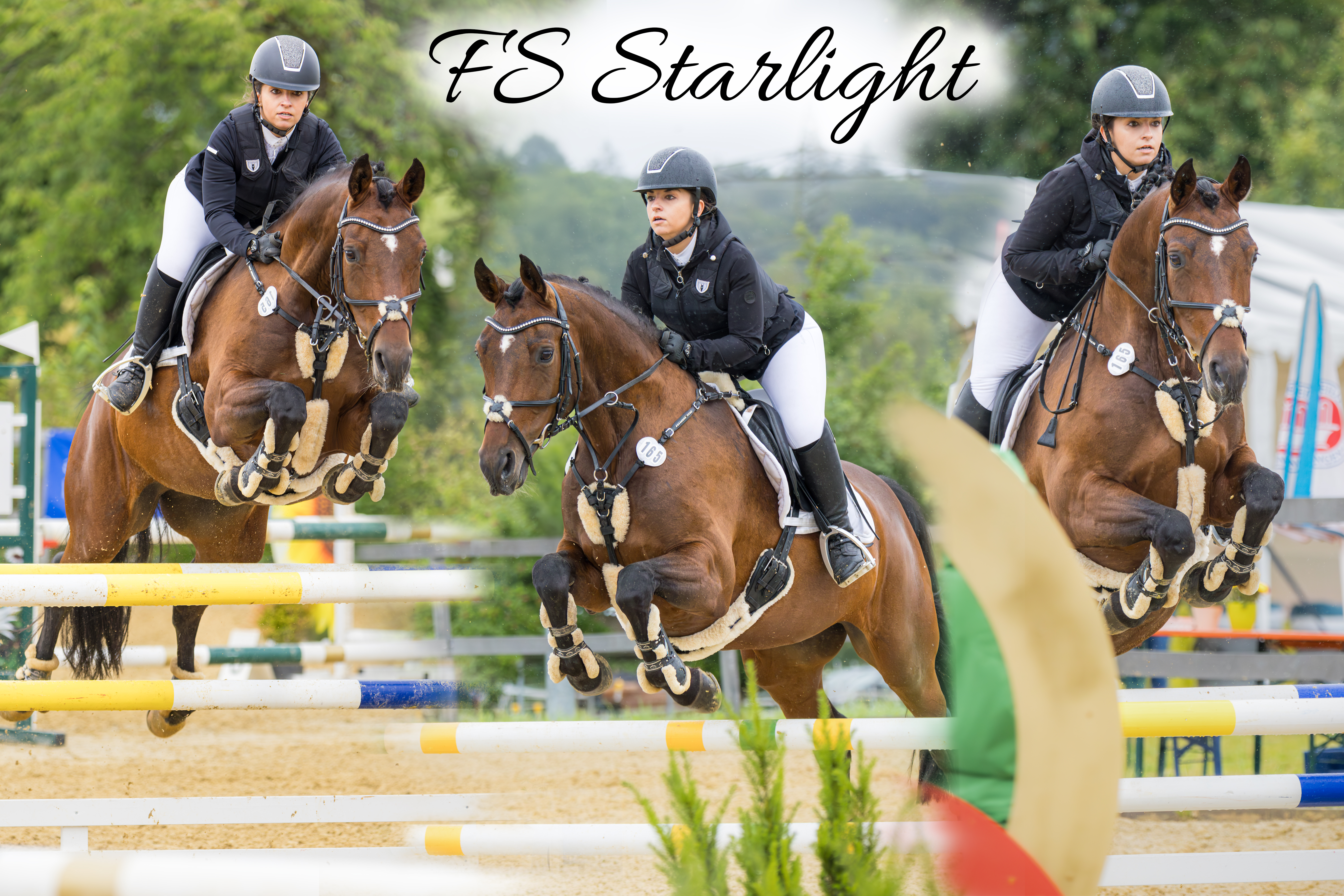 Individuelle Reitsport Fotocollage mit Pferd und Reiter