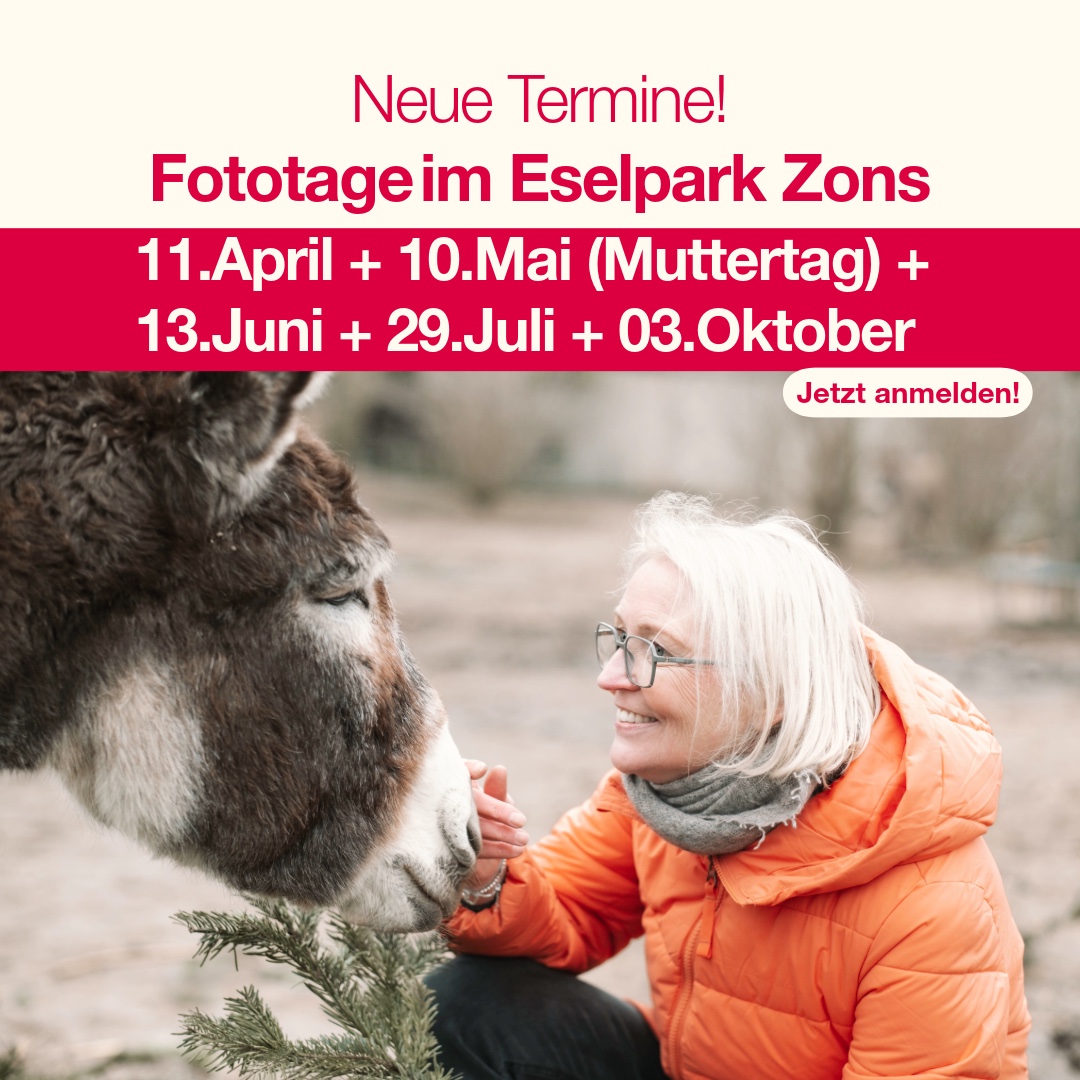 Fototage Eselpark