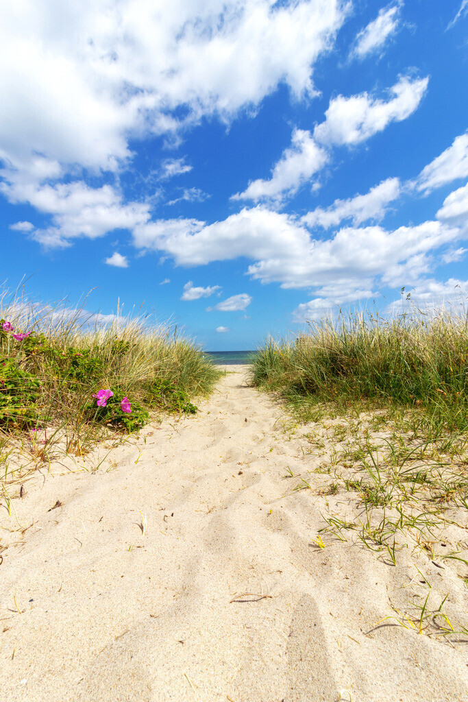 Sandweg zum Meer