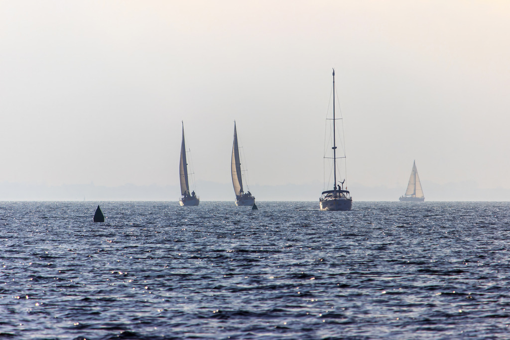 Im Gleichklang mit dem Meer