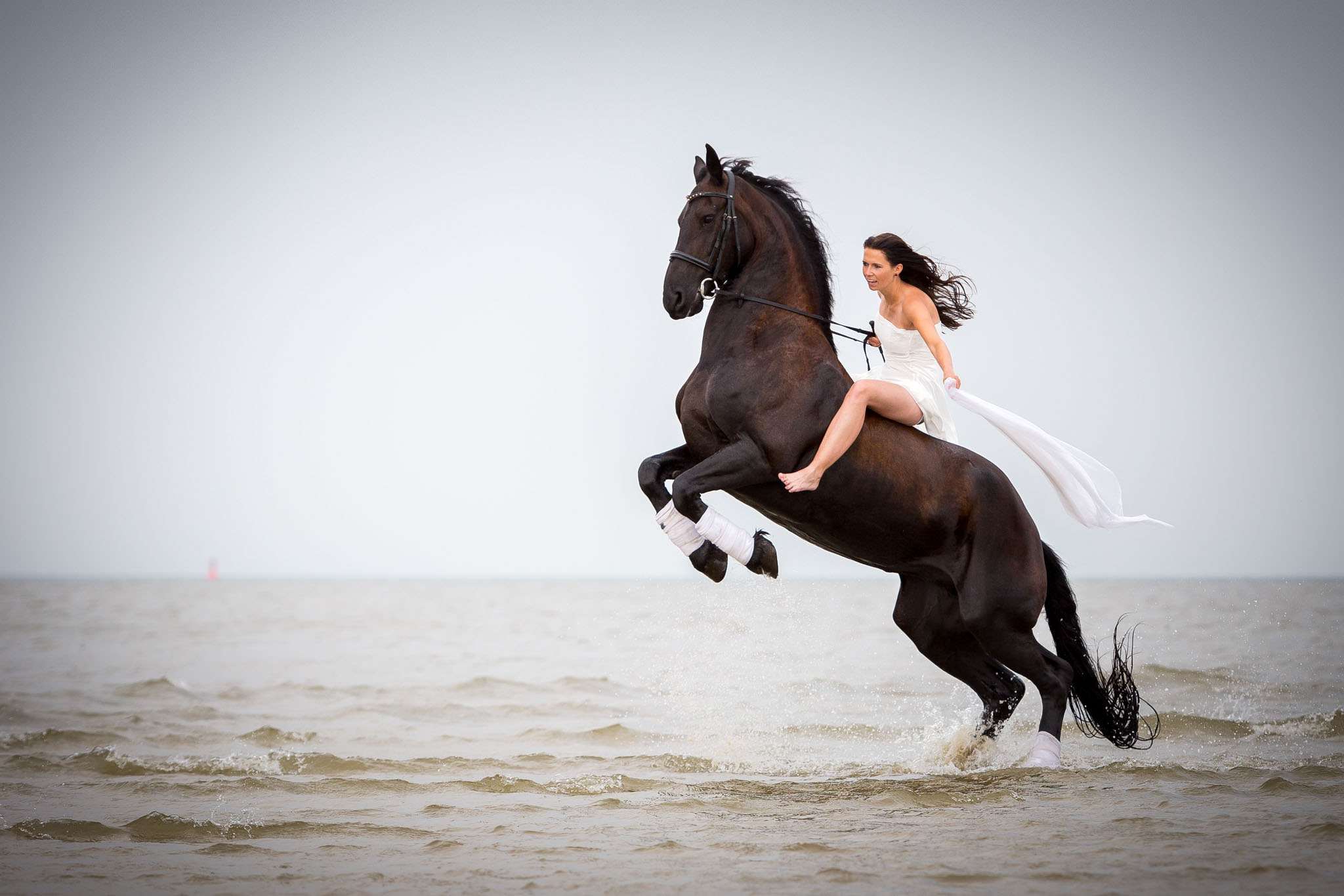 Fotoshooting mit Pferd am Strand von St. Peter-Ording