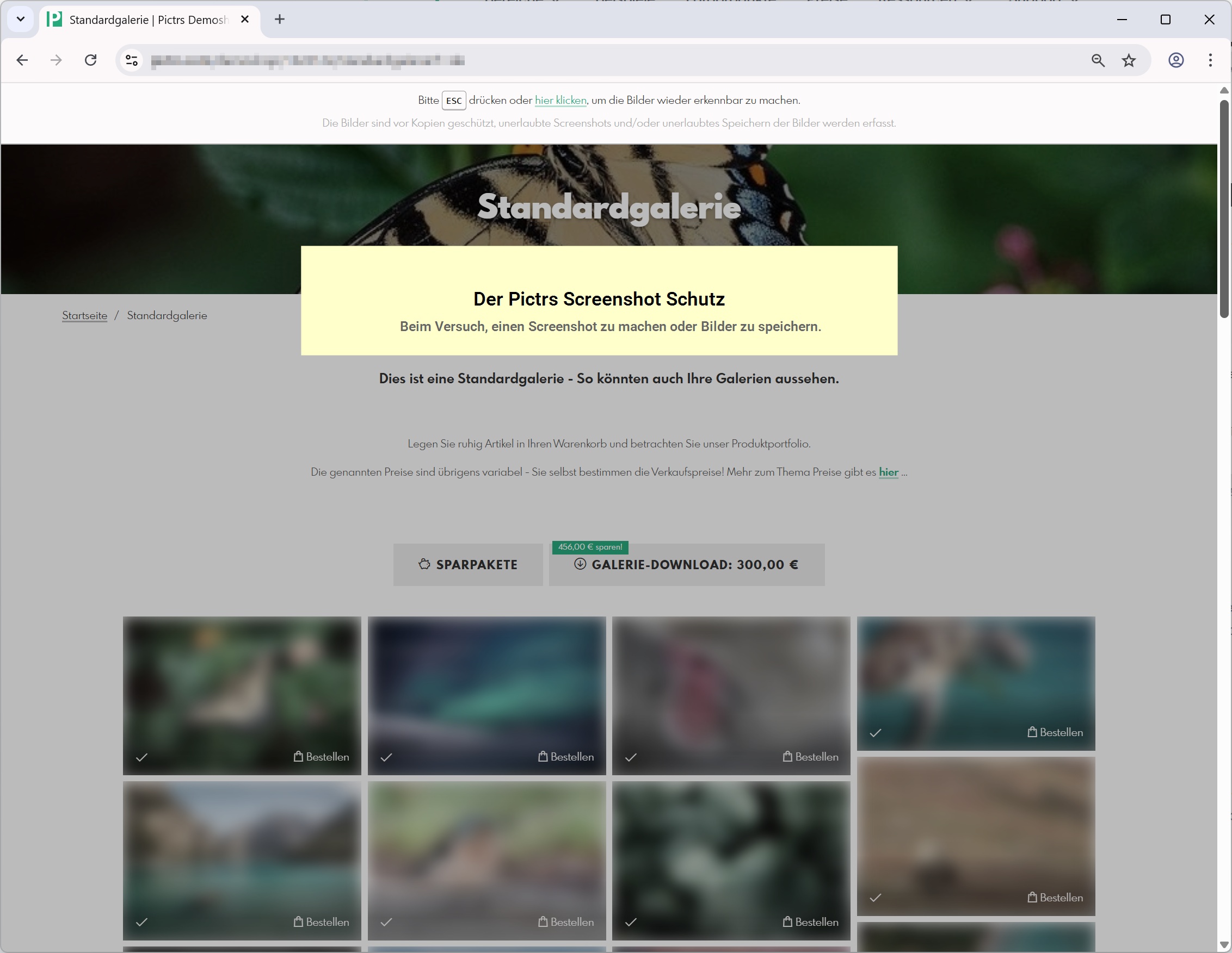 Schutz vor Screenshots und dem unerlaubten Speichern von Bildern