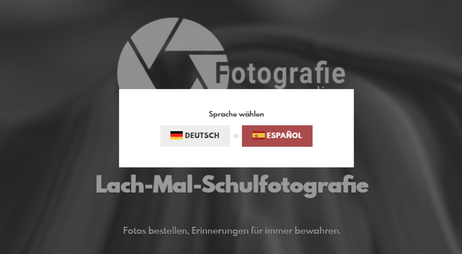 Sprachauswahl des Browsers im Pictrs-Shop tätigen