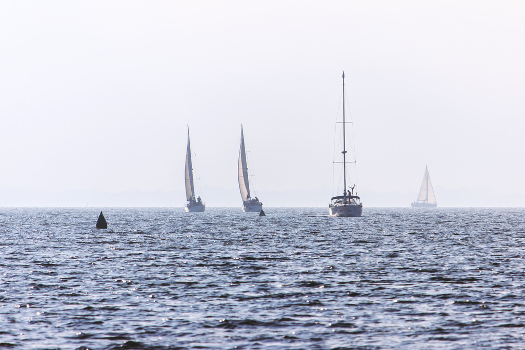 Im Gleichklang mit dem Meer
