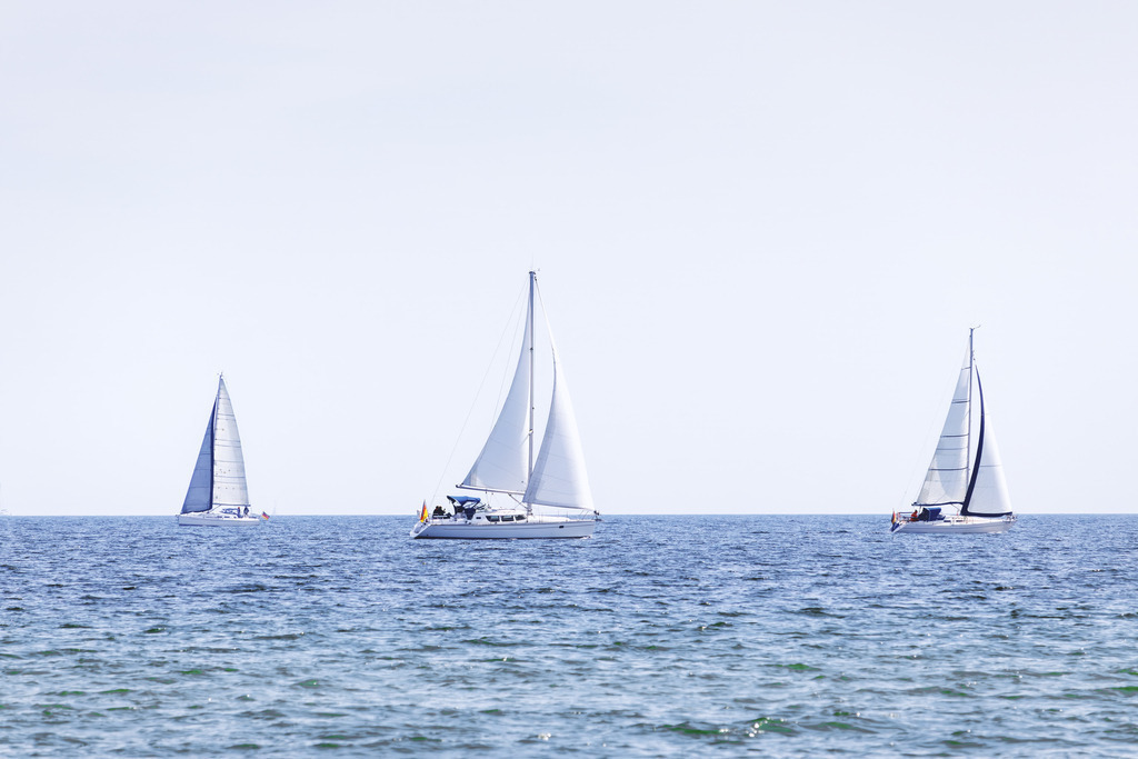 Frisches Küstengras am Meer