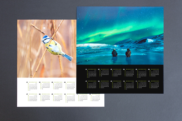 Jahreskalender im Pictrs-Sortiment